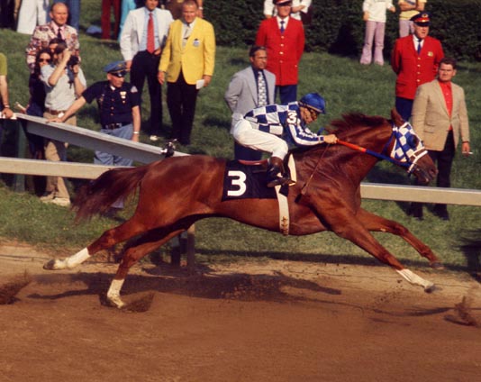 Secretariat_Preakness-thumb-534x424