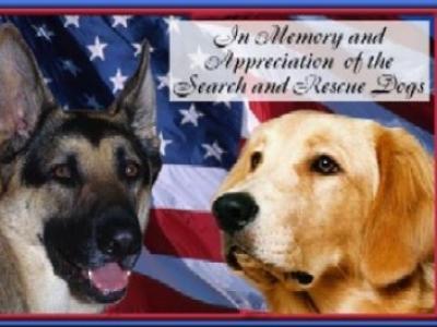 11-Rescue_Dogs12_0