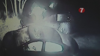 img45527