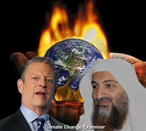gore-binladen