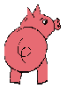 pig3thum-vi-1
