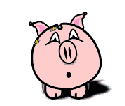 pig5-vi