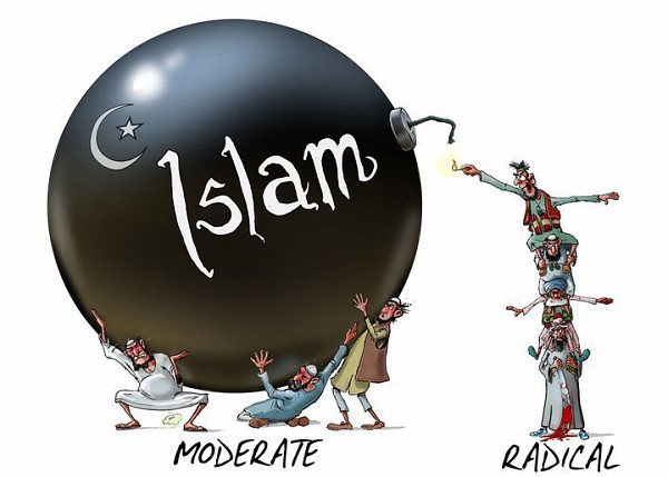 wishywashy_and_real_muslims-vi