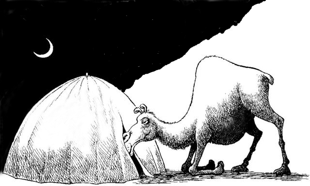 camel-nose-under-tent-obese-tax