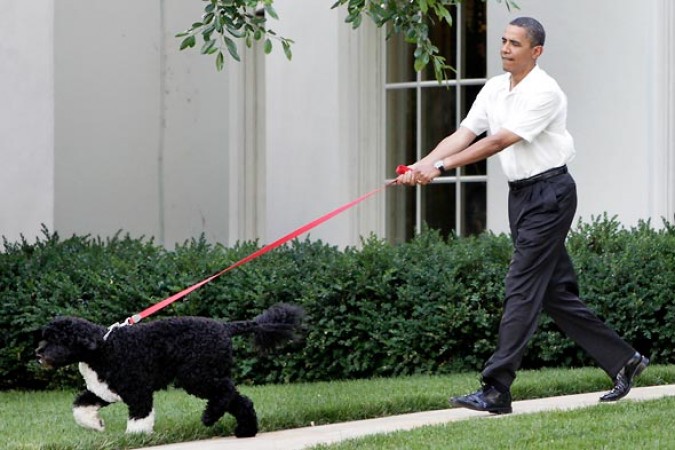 president-obama-and-his-doggy_post