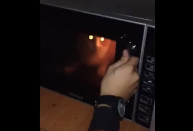 cat-microwave