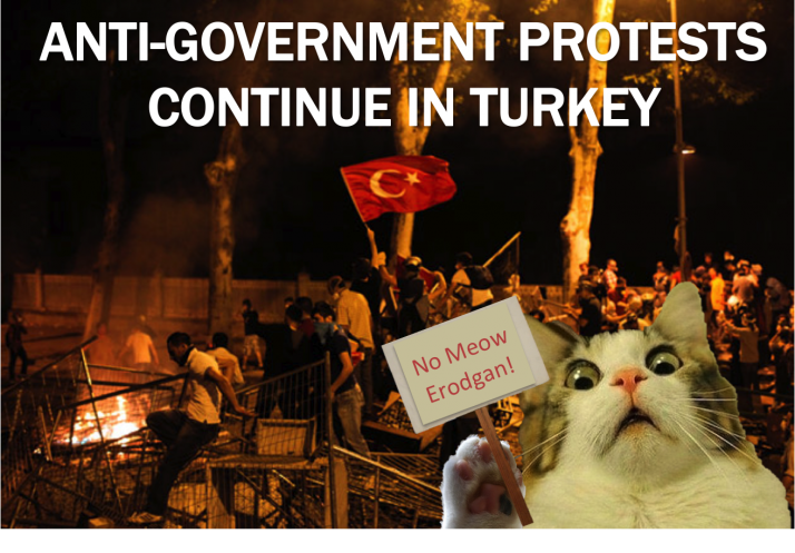 Current-Event-Cats-Protests-in-Turkey-e13811927271051