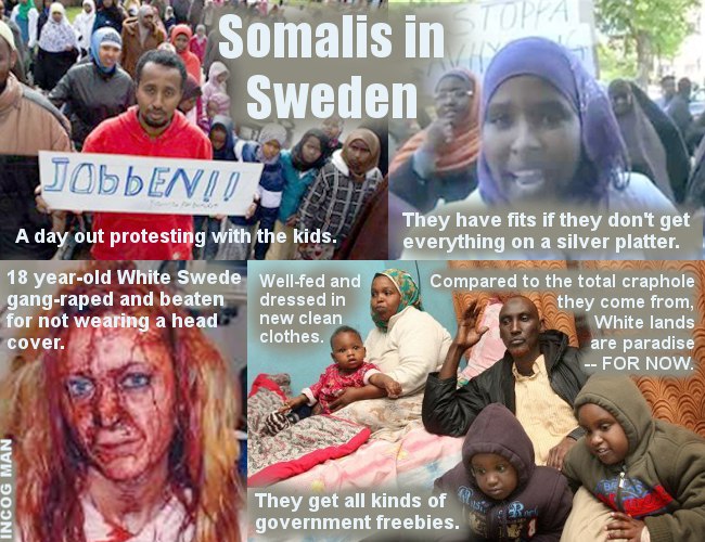 SWEDEN-SOMALIS-MONTAGE-3.jpg