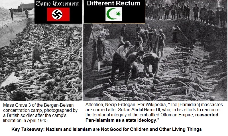 nazism_islamism