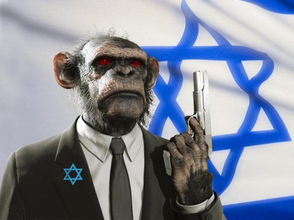 monkey-israel