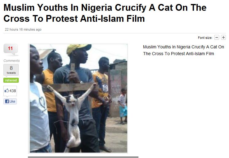 muslims-crucify-cat-to-protest-anti-islam-film-17.9.2012